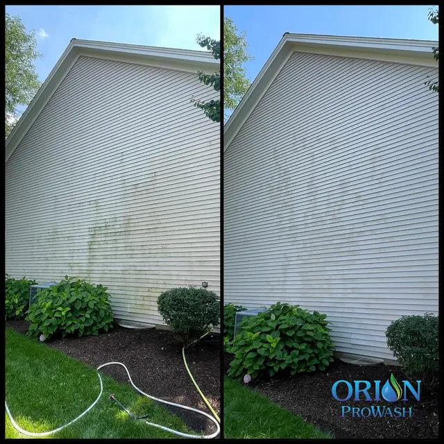 Orion ProWash — photo from the business 3