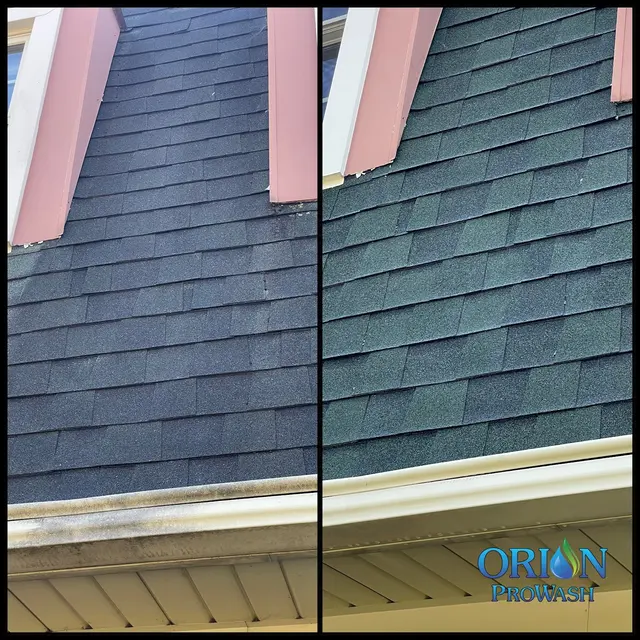 Orion ProWash — photo from the business 4