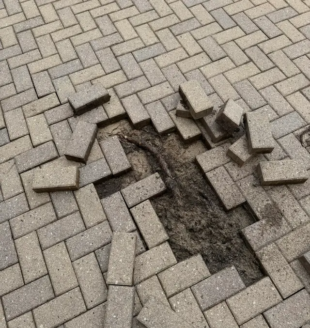 Power Wash Dudes — photo from the business 11