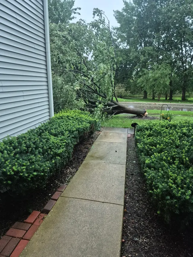 Customer photo of work by Exstream Clean, from Beverly's review