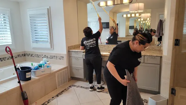 Sophia's Cleaning Service — photo from the business 4