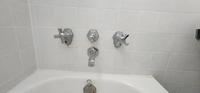 Customer photo from Iva's review