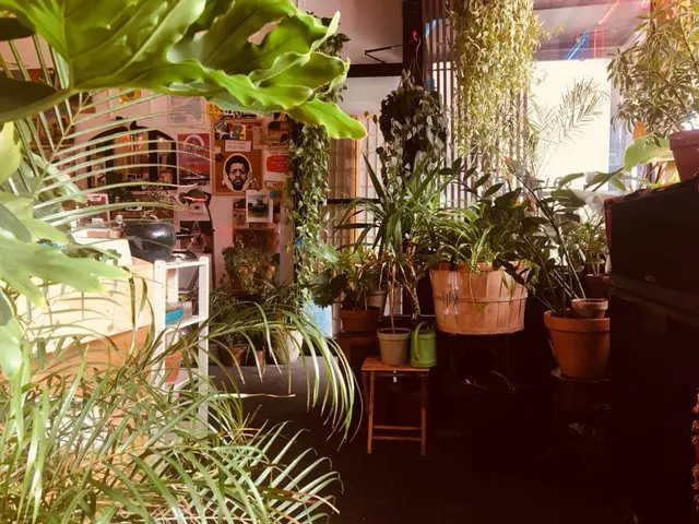 Second Hand Records NYC — photo from the business 7