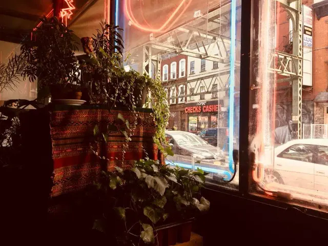 Second Hand Records NYC — photo from the business 9