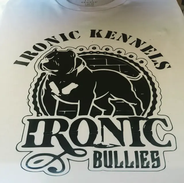 Customer photo of work by Printing by Prevail, from Ironic Whitfield's review