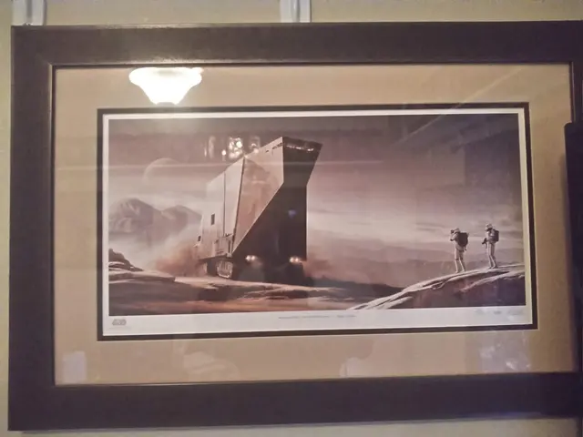 The Art and Framing Gallery — customer photo 4