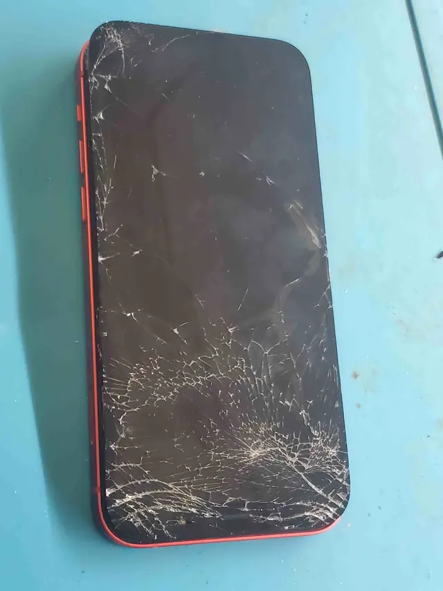 GADGET'S ER. — photo from the business 2