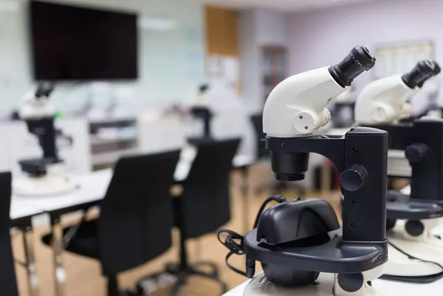 World Gemological Services — photo from the business 1