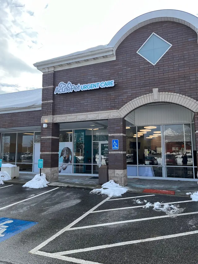 AcutePet Urgent Care — photo from the business 2