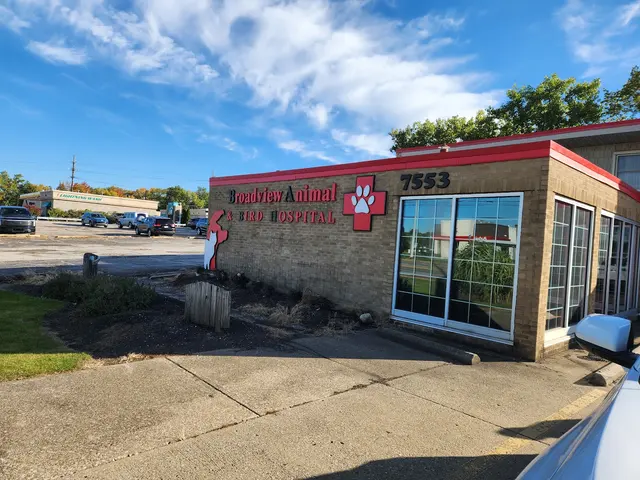 Broadview Animal & Bird Hospital — customer photo 2