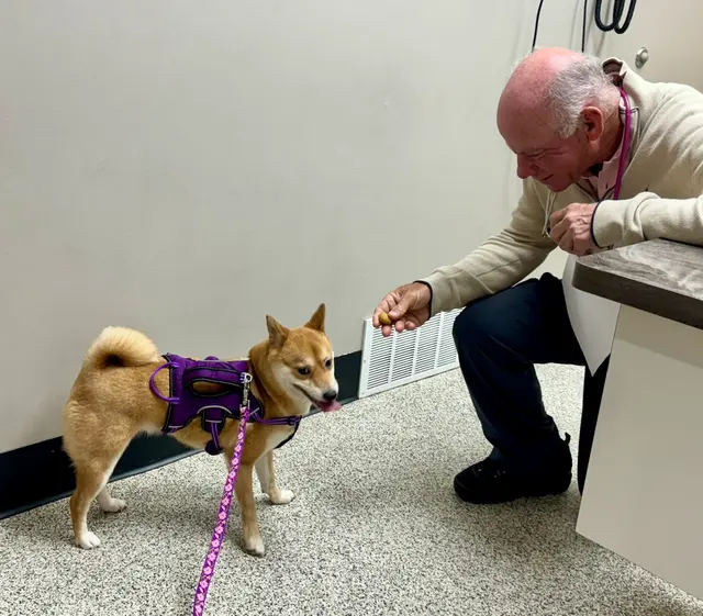 Broadview Animal & Bird Hospital — customer photo 7