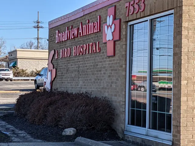 Broadview Animal & Bird Hospital — customer photo 8