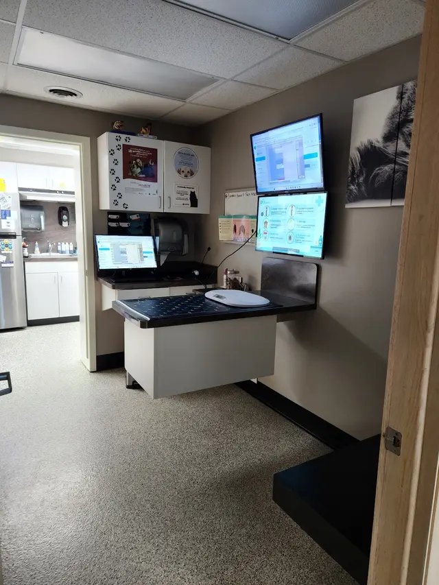 Customer photo of work by Broadview Animal & Bird Hospital, from Joe Boo's review