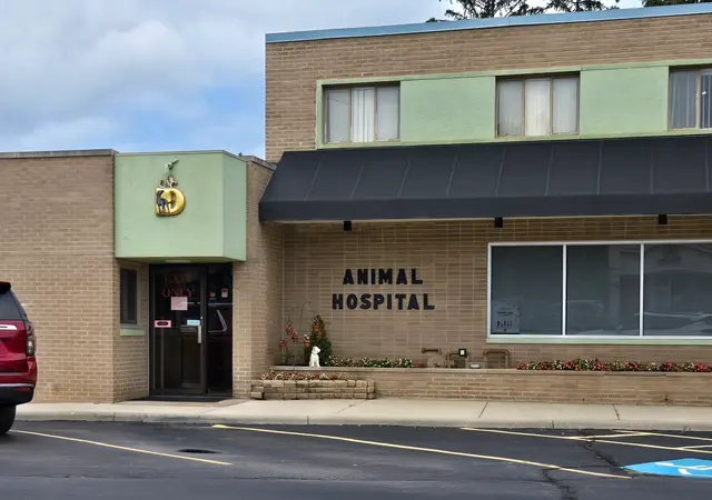 Detroit Dover Animal Hospital — customer photo 2