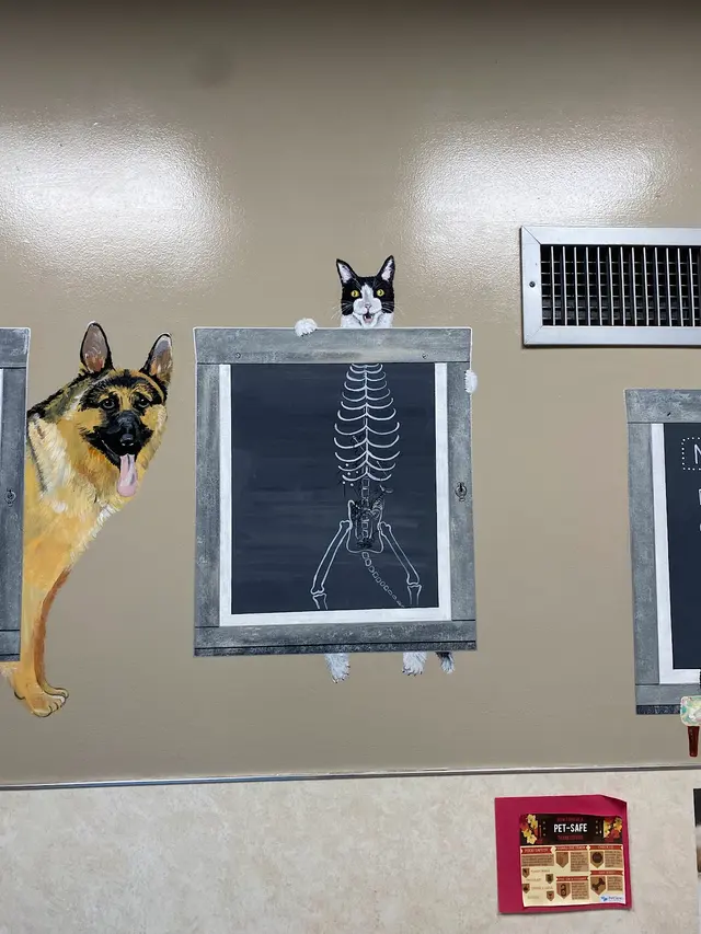 Detroit Dover Animal Hospital — customer photo 5