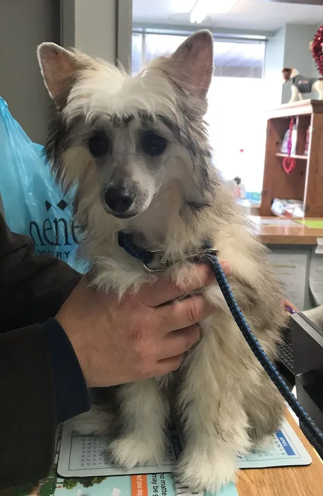Kentown Animal Hospital — photo from the business 3