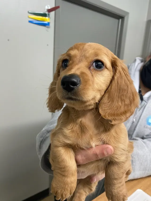 Kentown Animal Hospital — photo from the business 7