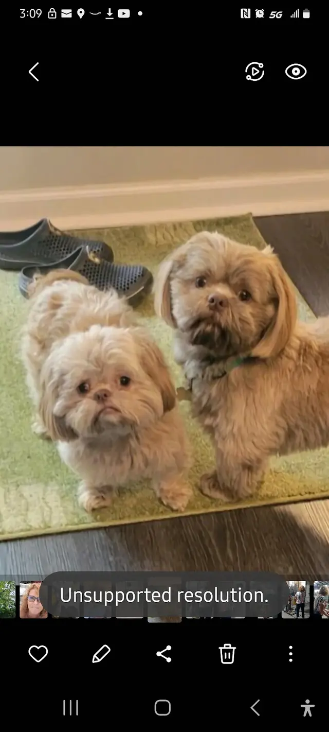 Kentown Animal Hospital — customer photo 12