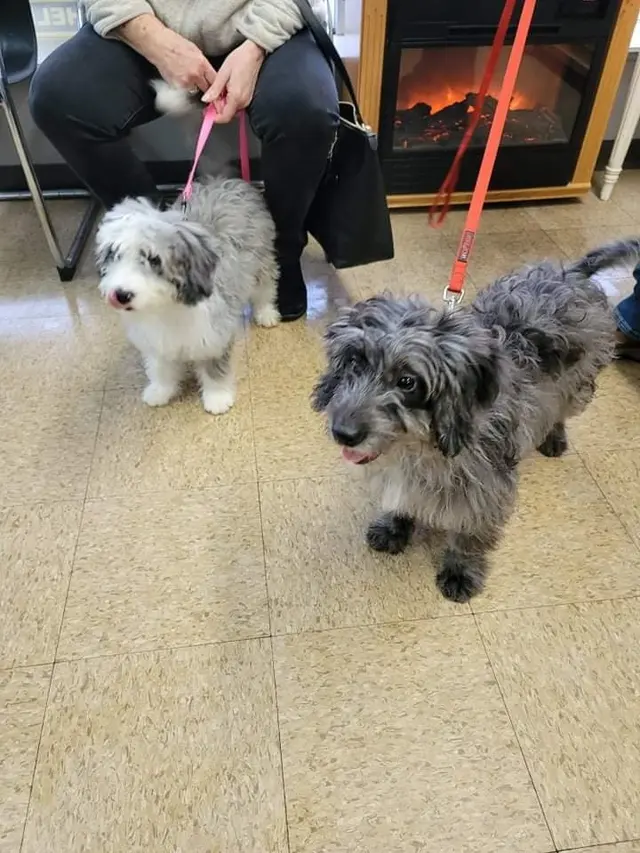 Kentown Animal Hospital — photo from the business 5