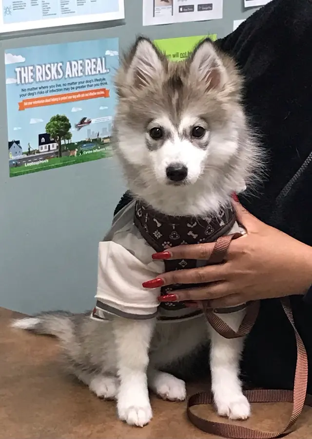 Kentown Animal Hospital — photo from the business 8