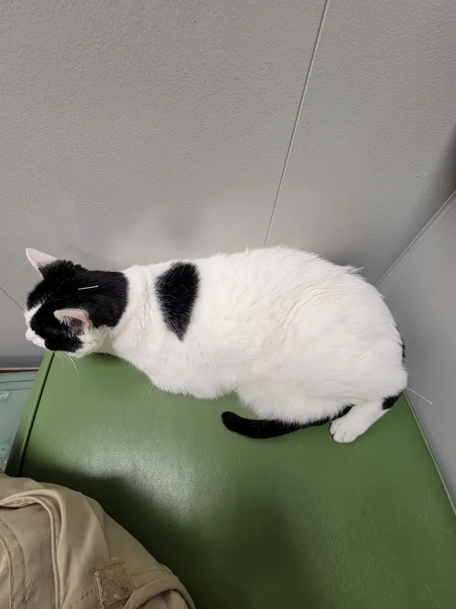 Bartels Pet Hospital — customer photo 6