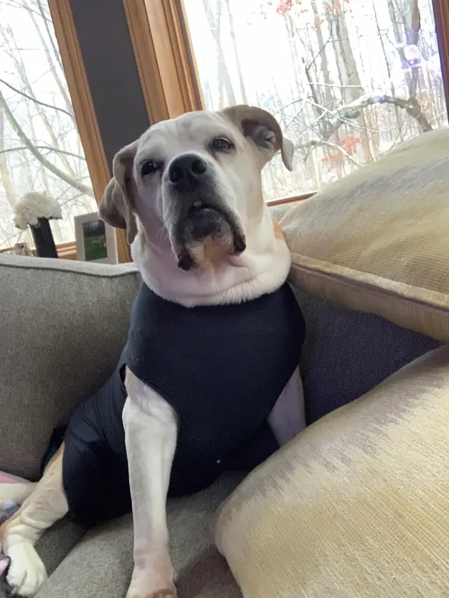 Bartels Pet Hospital — customer photo 5