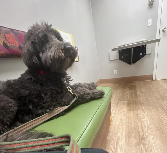 Bartels Pet Hospital — customer photo 4