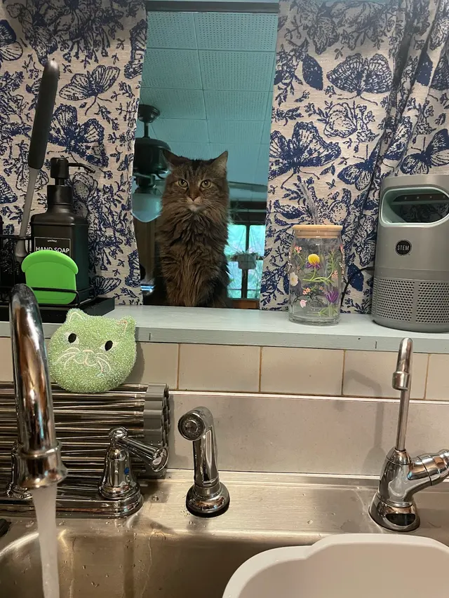 Apple Hill Animal Hospital — customer photo 3