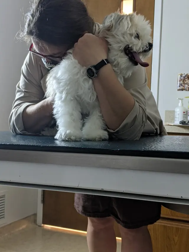 Apple Hill Animal Hospital — customer photo 8
