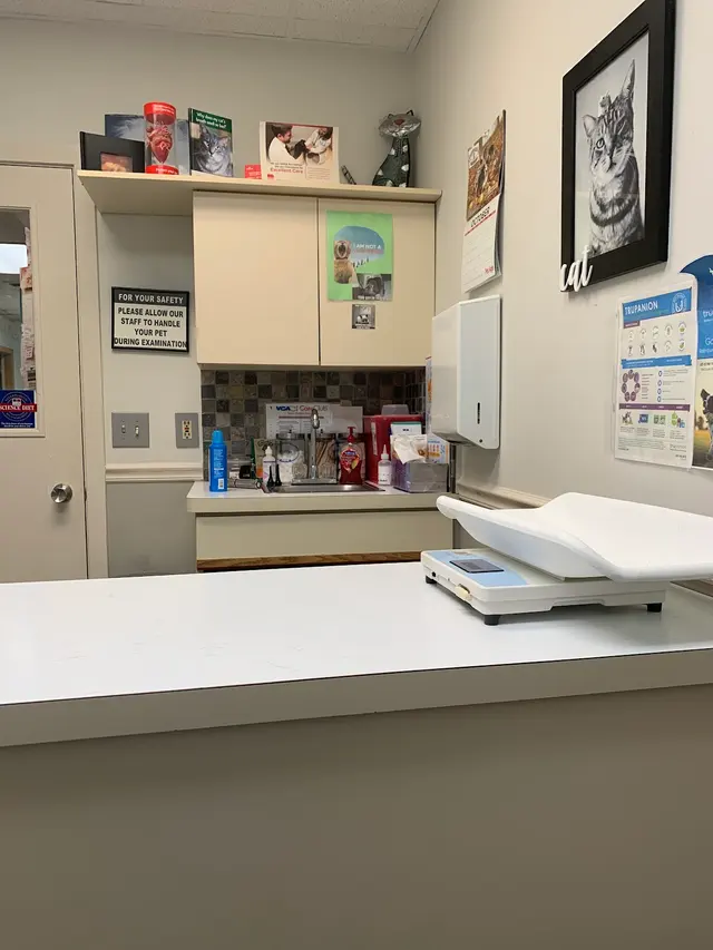 VCA Midpark Animal Hospital — customer photo 6