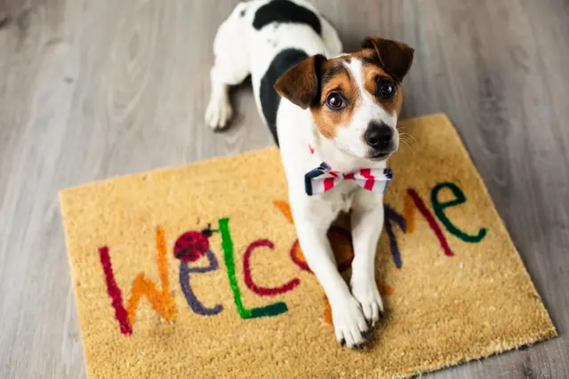 MetroPet Veterinary Clinic — photo from the business 7