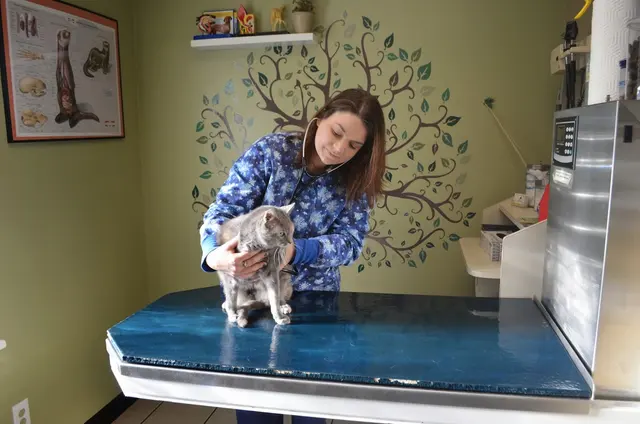 MetroPet Veterinary Clinic — photo from the business 3