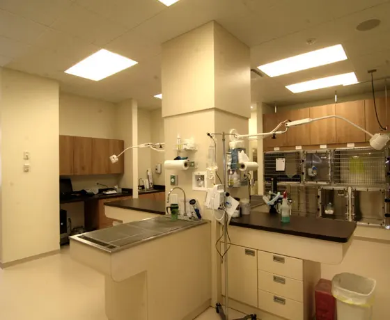 Bartels Busack Pet Hospital & Spa — photo from the business 4
