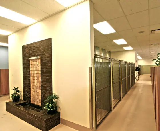 Bartels Busack Pet Hospital & Spa — photo from the business 5