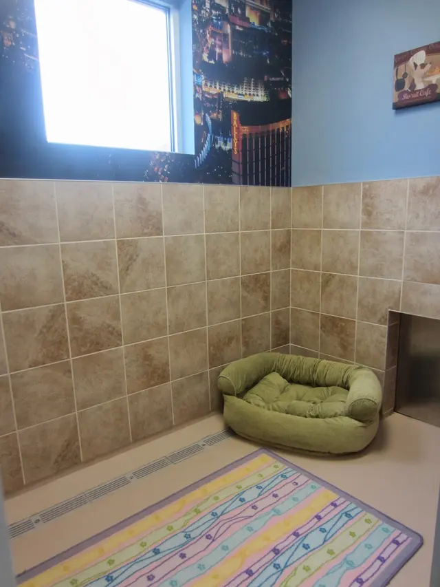 Bartels Busack Pet Hospital & Spa — photo from the business 11