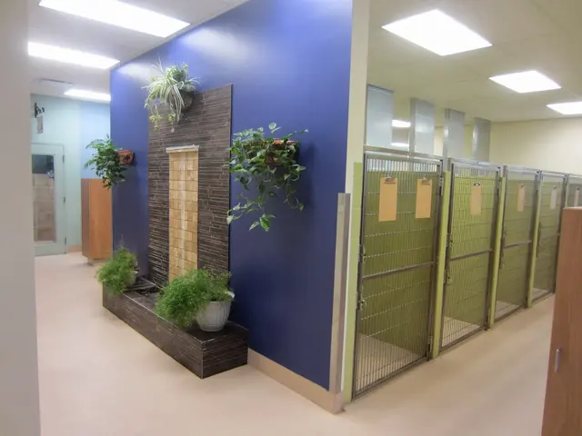 Bartels Busack Pet Hospital & Spa — photo from the business 8