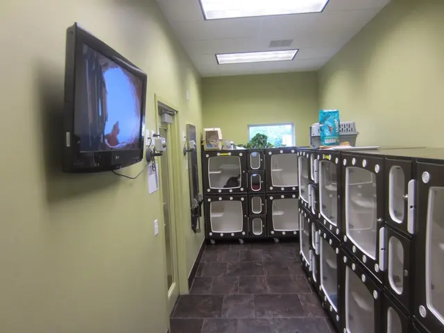 Bartels Busack Pet Hospital & Spa — photo from the business 9
