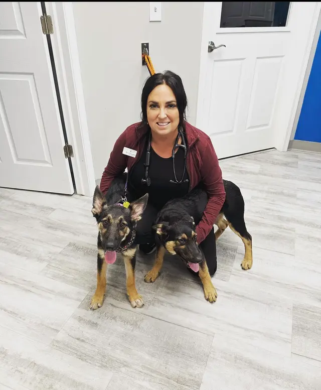 Greystone Veterinary Hospital + Urgent Care — photo from the business 8