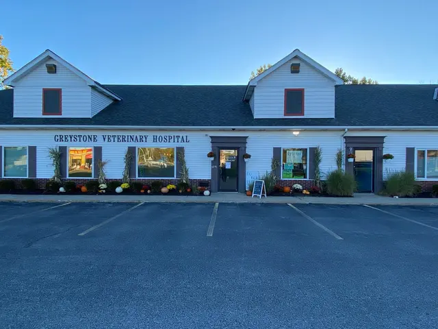 Greystone Veterinary Hospital + Urgent Care — photo from the business 1