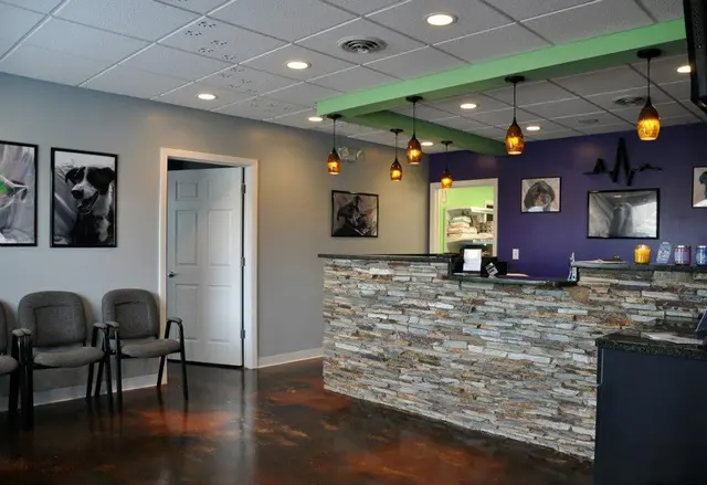 Greystone Veterinary Hospital + Urgent Care — photo from the business 2