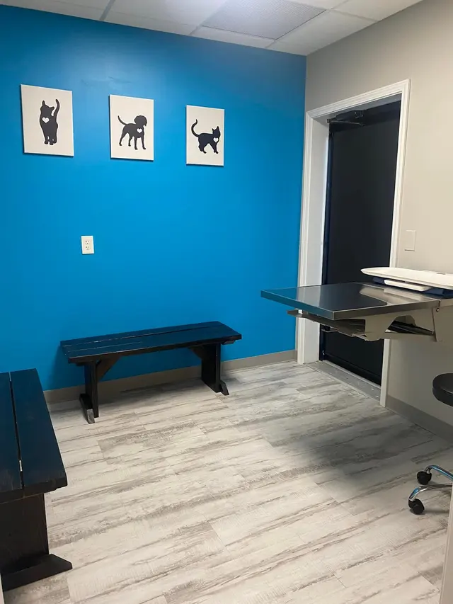 Greystone Veterinary Hospital + Urgent Care — photo from the business 11