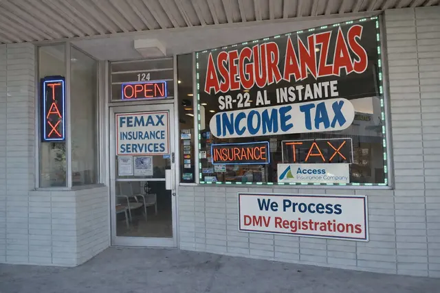 Femax Services Income Tax and Insurance — photo from the business 1
