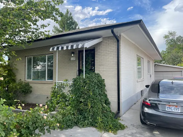 The Brothers That Just Do Gutters — customer photo 4