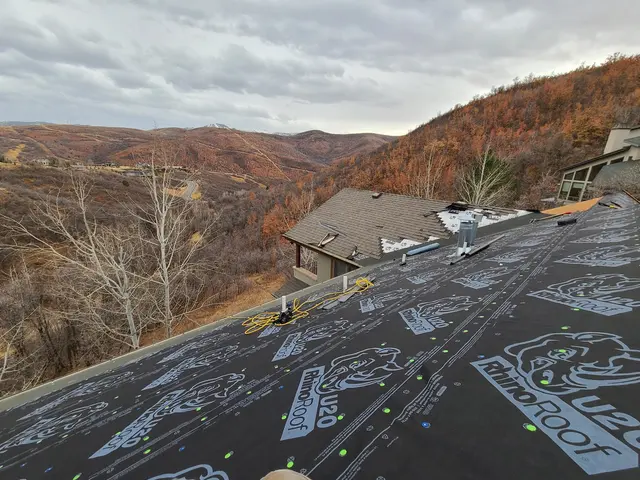 True North Roofing — customer photo 10
