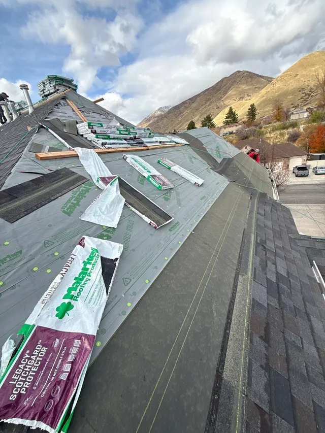 ReRoofIt — photo from the business 7