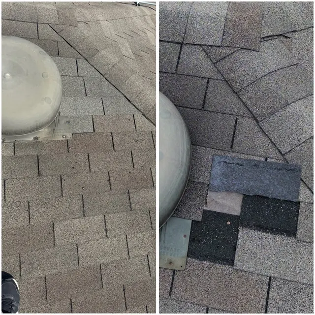 Customer photo from Daniel's review