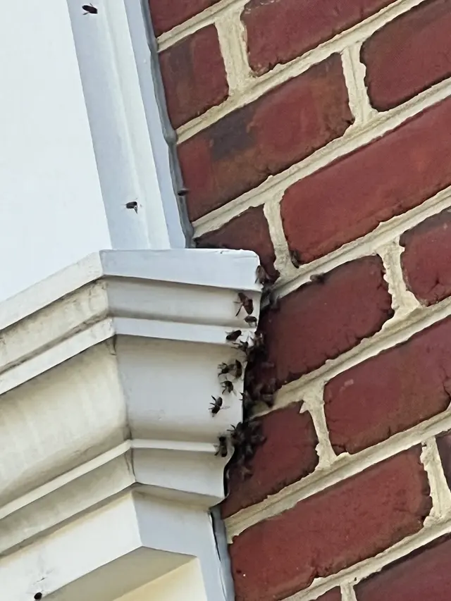 Rogers Pest Control, LLC — customer photo 12