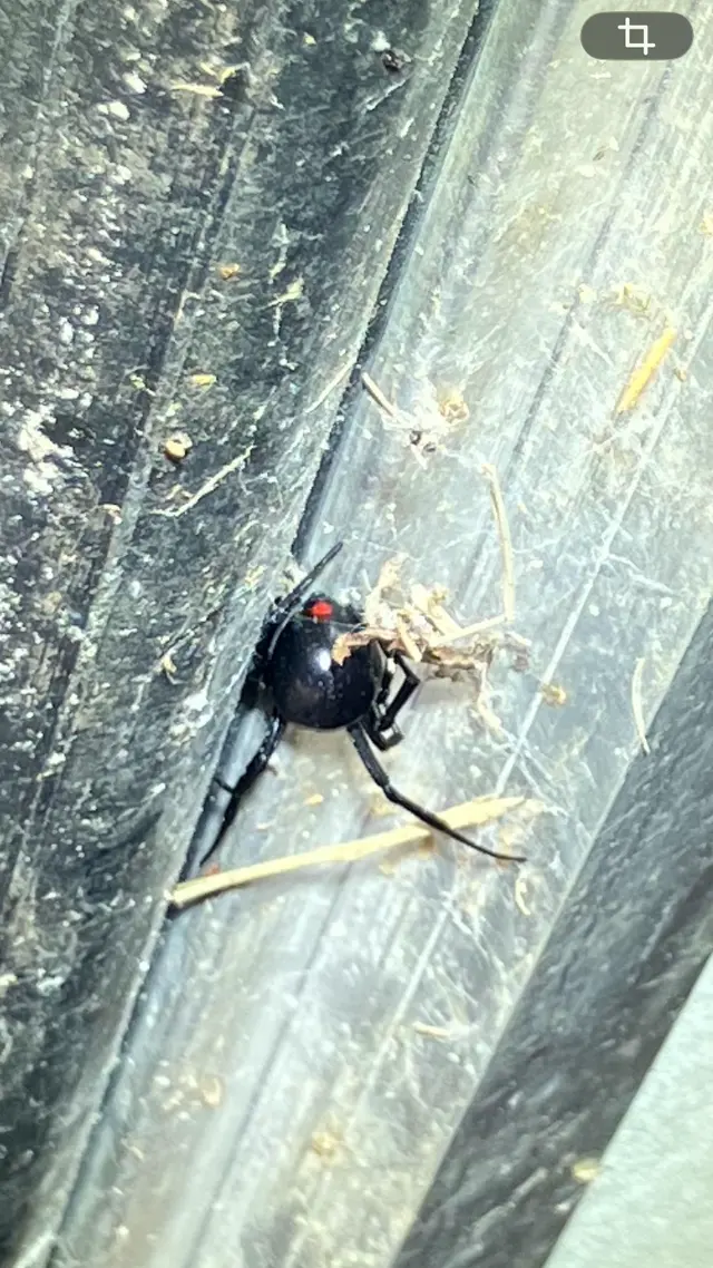 Rogers Pest Control, LLC — customer photo 10