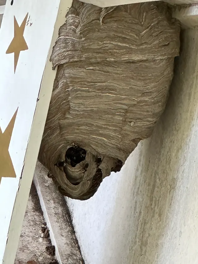 Rogers Pest Control, LLC — customer photo 11