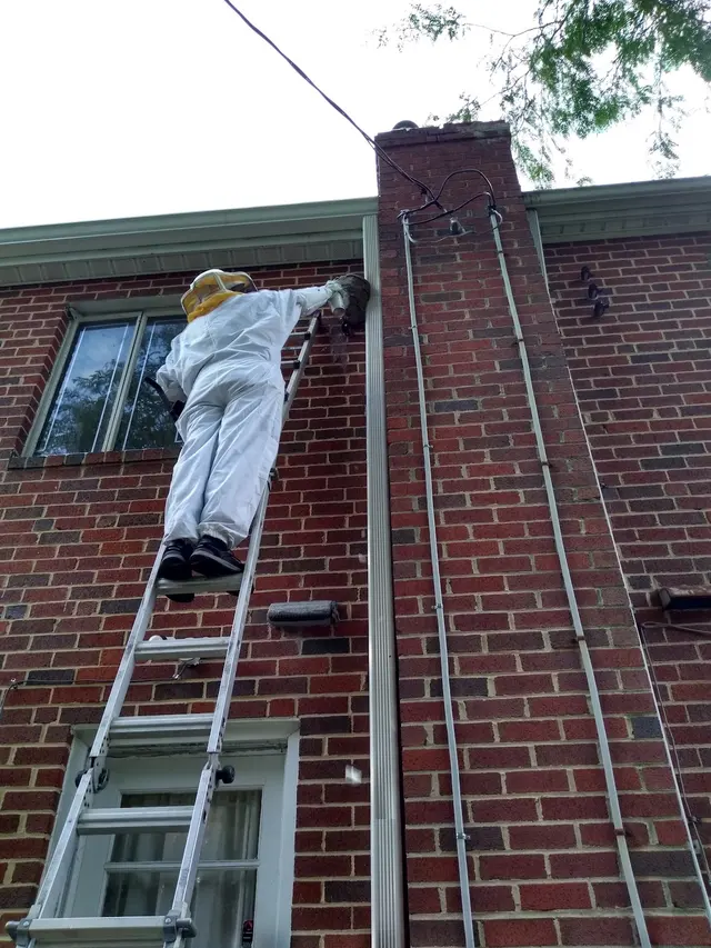 Rosenbloom Pest Control, Inc. — photo from the business 6